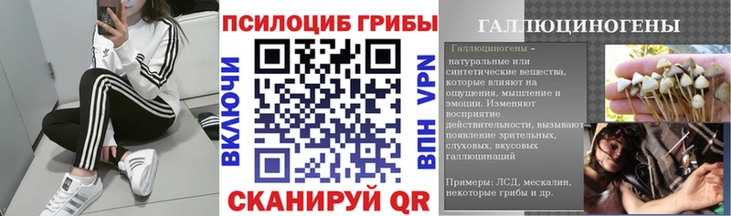 закладка  Дмитриев  гидра маркетплейс  Галлюциногенные грибы MAGIC MUSHROOMS 